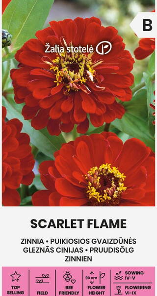 Цинния георгиноцветковая "Алое пламя"